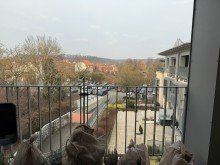 Blick vom Balkon Wohnen mit Blick auf den M�llner Kurpark: 2-Zimmer Eigentumswohnung in zentraler Lage in M�lln zu verkaufen!